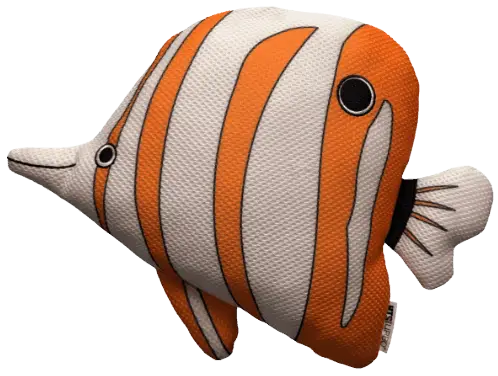Butterfly Fish